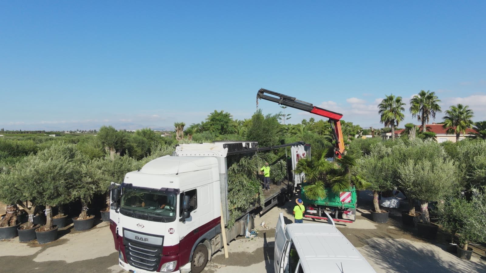 Carga de camiones en el vivero